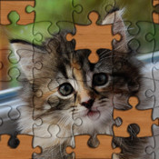 Jigsaw Puzzles!