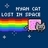 Nyan Cat: Lost In Space