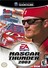 NASCAR Thunder 2003